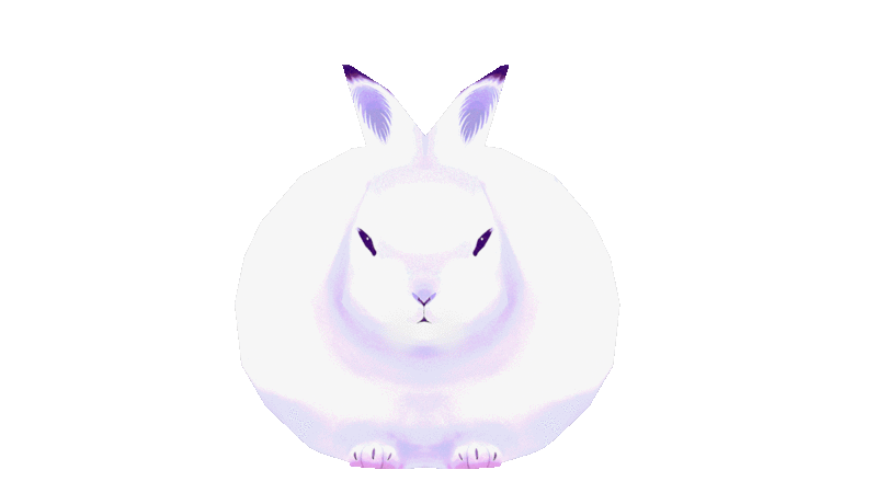 bunny